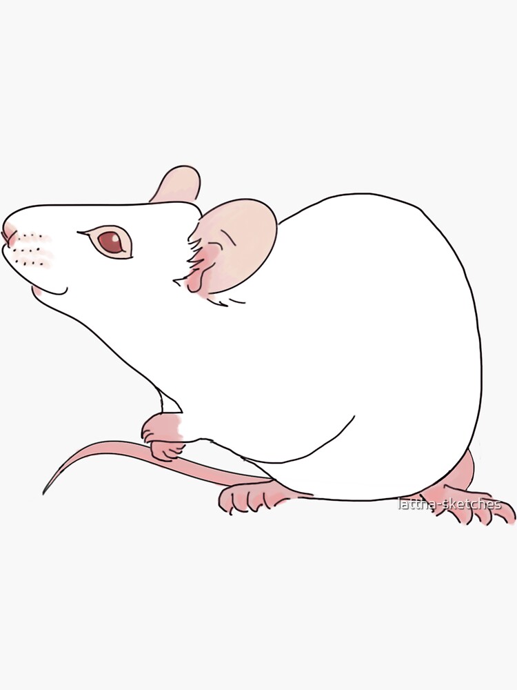 "Lab mouse" Sticker by latthasketches Redbubble
