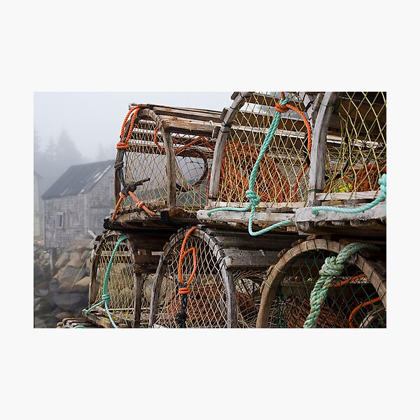 Lobster Nets Photographic Print
