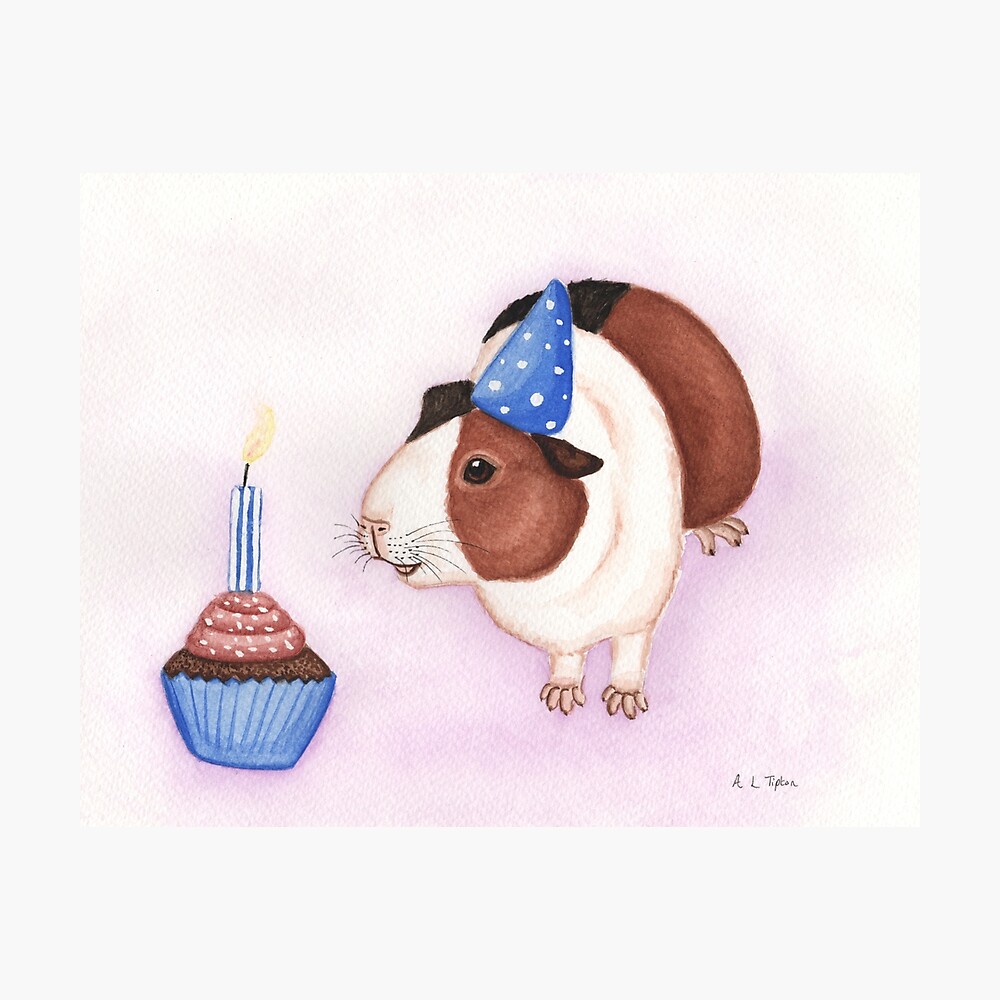 Poster Gateau D Anniversaire Et Cochon D Inde Par Wolfysilver Redbubble