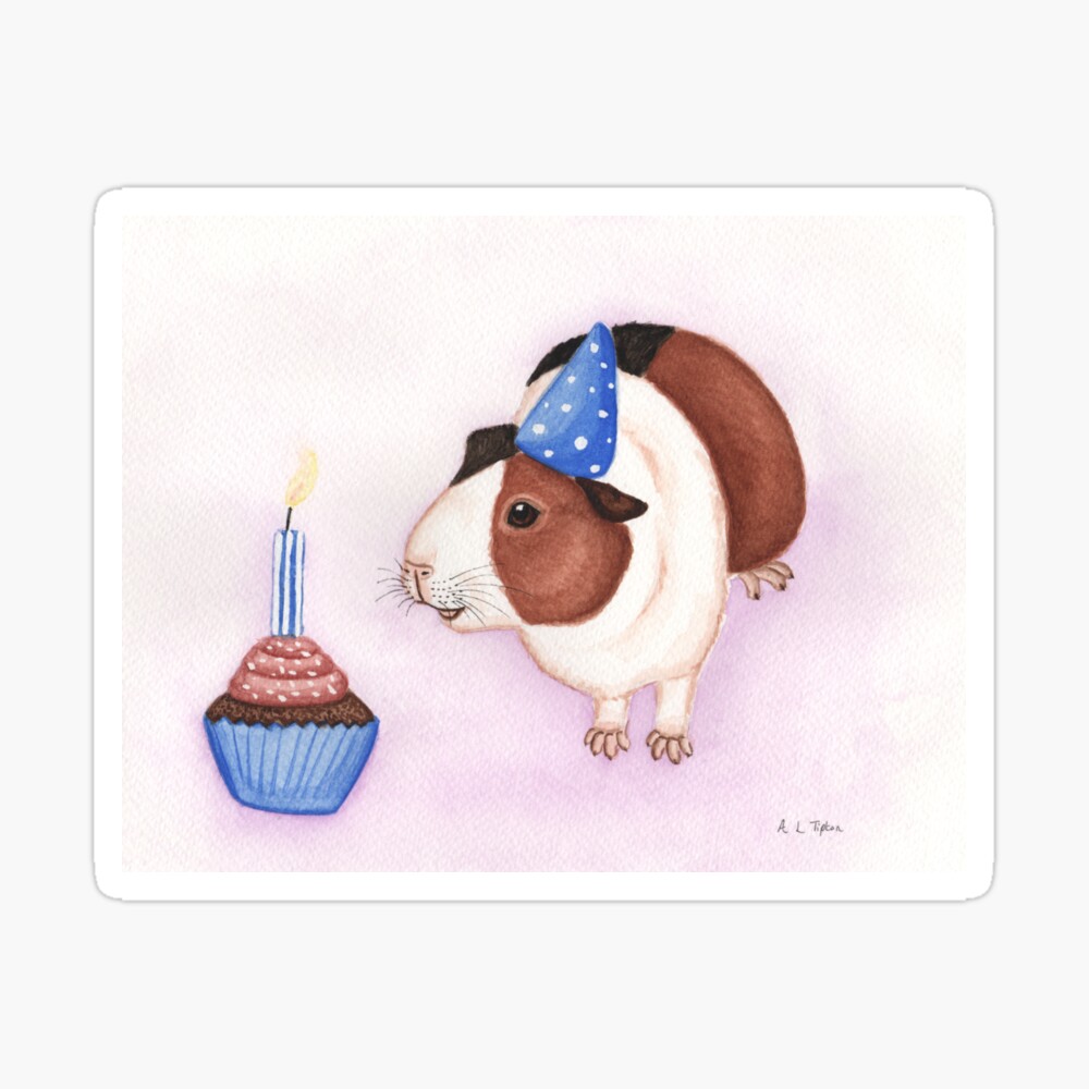 Carte De Vœux Gateau D Anniversaire Et Cochon D Inde Par Wolfysilver Redbubble