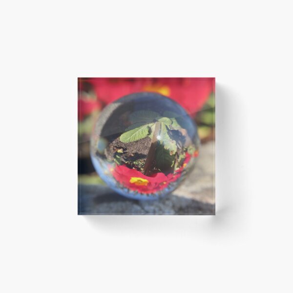 Item preview, Through the red looking ball designed and sold by Digitaldegs.