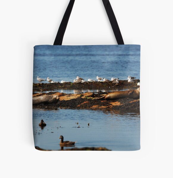Item preview, SEAL ROCKS designed and sold by andrewsaxton.