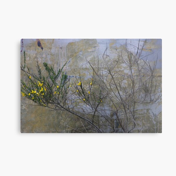 Yellow Metal Print