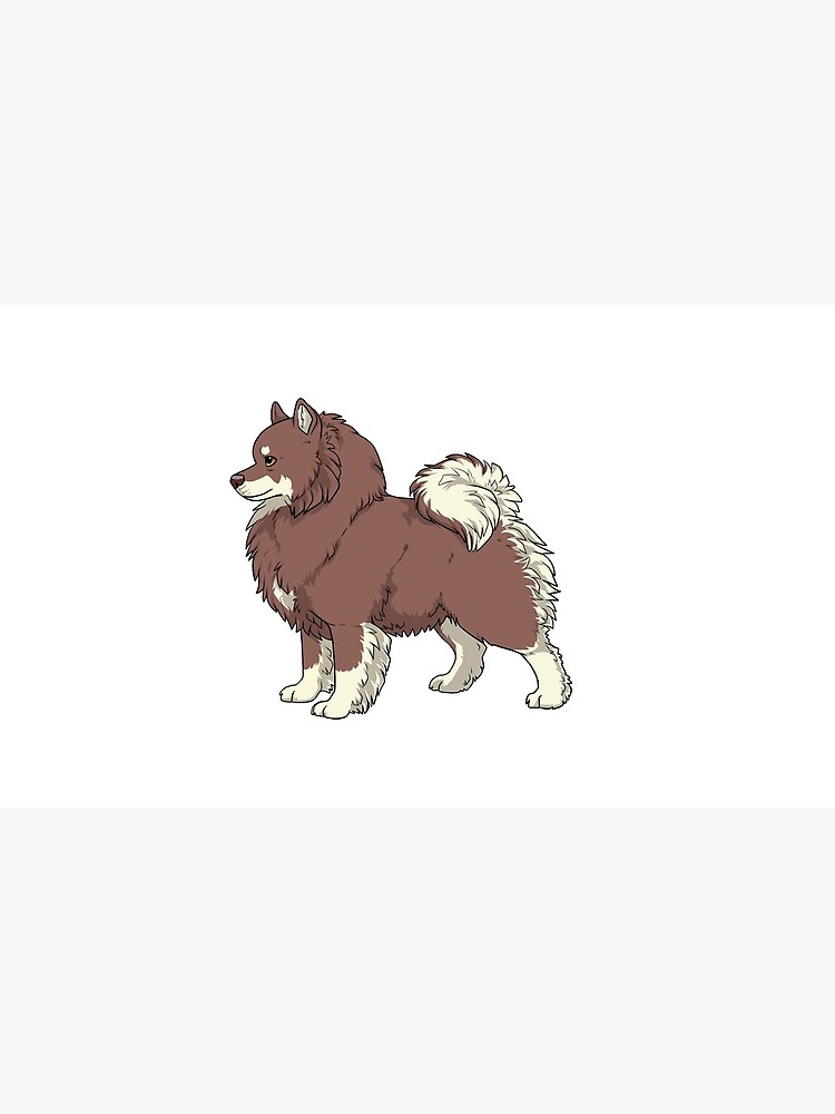 “Finnish lapphund (brown & tan)” Mug by KiwiJP | Redbubble