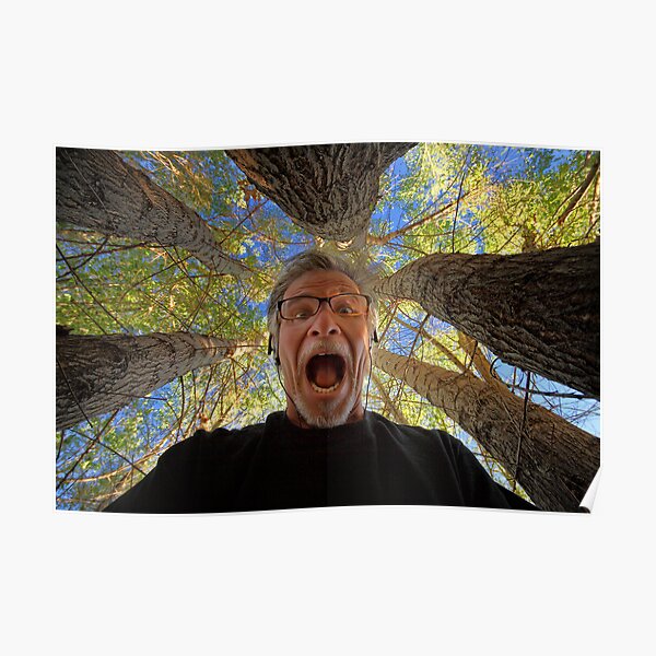 Download Screaming Trees Posters Redbubble