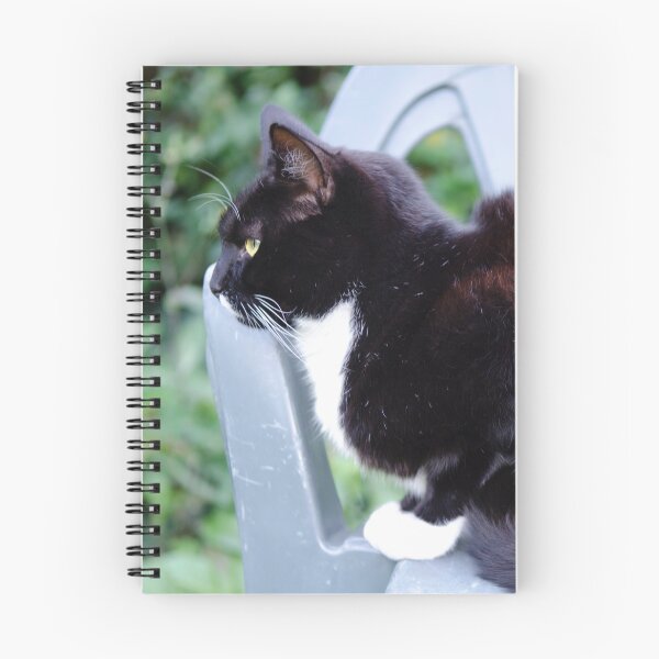 Item preview, Sitting Cat designed and sold by cassielclark.
