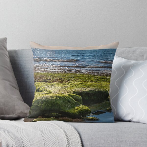 Item preview, View of the beach at low tide. Stones covered with green wet seaweed with puddles of water between them designed and sold by EG Creativity Art.