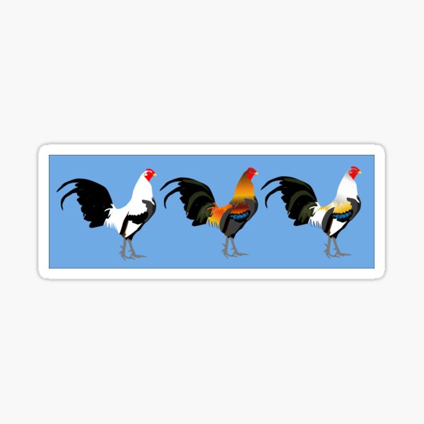 US Flag Cock Fight Game Fowl Sticker for Sale by Daily Grind 19