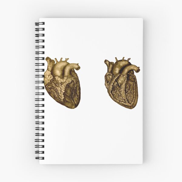 Item preview, Anatomical Heart designed and sold by BloodandBone.