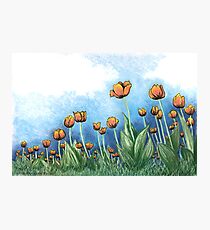 Tulips Photographic Print