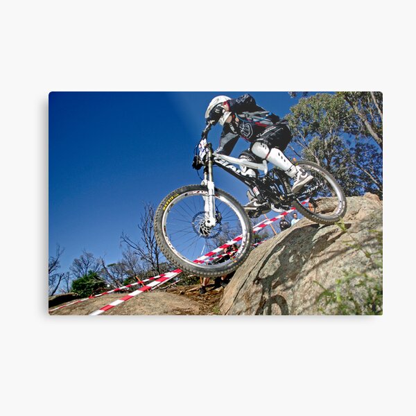 Giant Metal Print