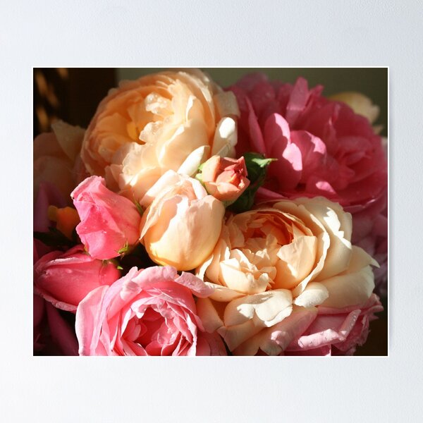 Item preview, Magnificent roses. designed and sold by JulesVandermaat.