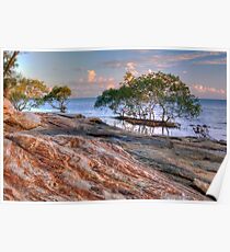 The Shoreline Poster
