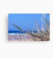 Beach Grass Canvas Print