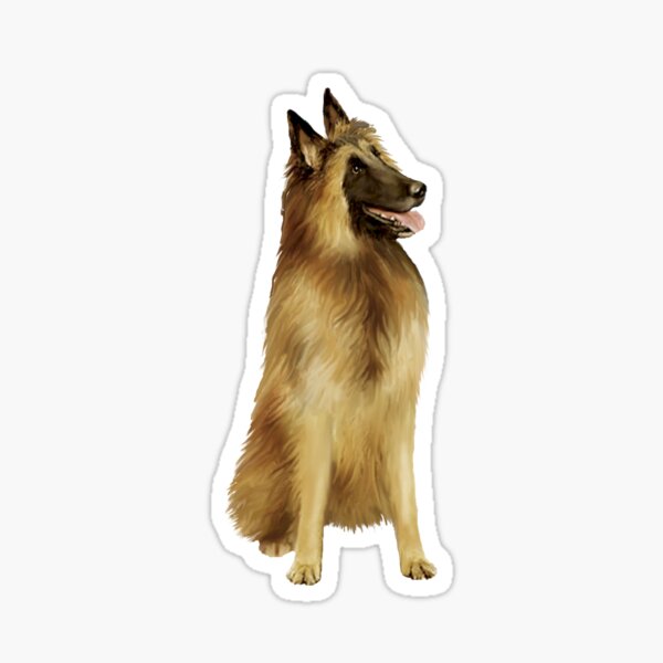 Belgian Tervuren Sticker