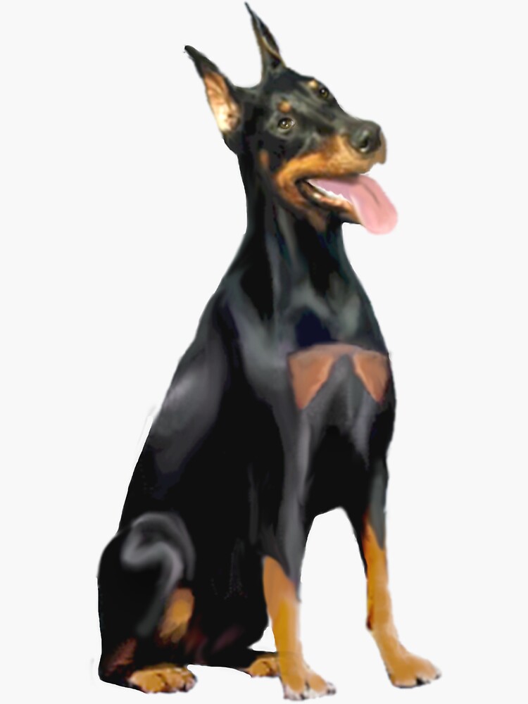 Doberman Pinscher (cropped ears) by JeanBFitzgerald
