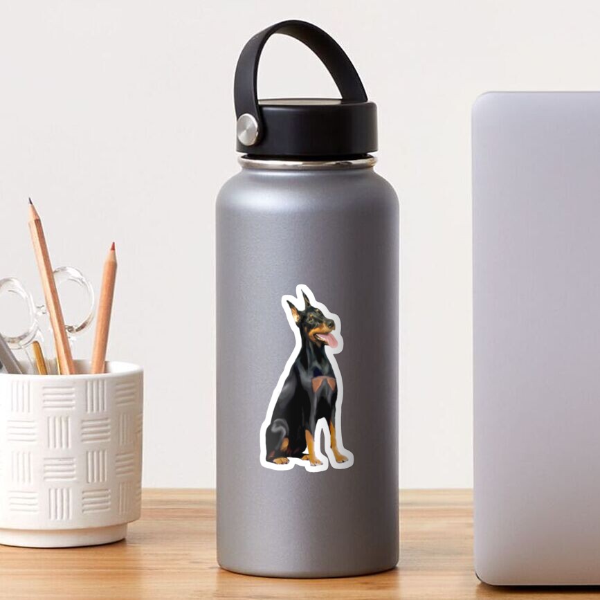 Doberman Pinscher (cropped ears) Sticker