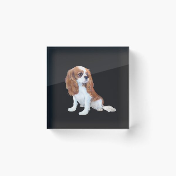 Item preview, Cavalier King Charles Spaniel - Blenheim Puppy designed and sold by JeanBFitzgerald.