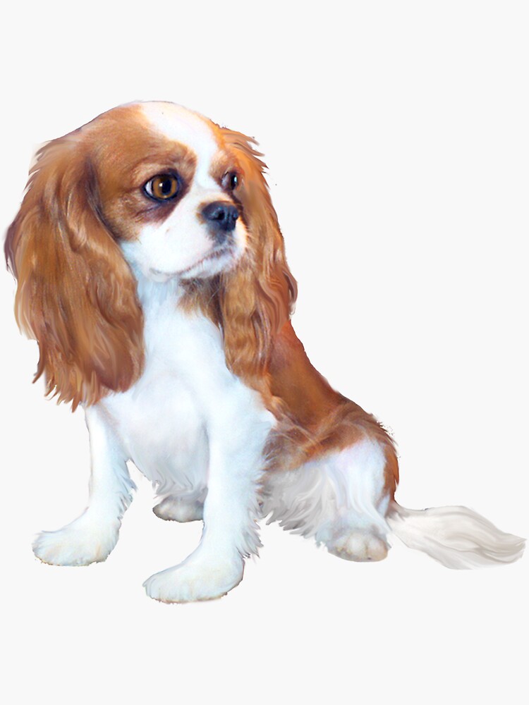 Cavalier King Charles Spaniel - Blenheim Puppy by JeanBFitzgerald