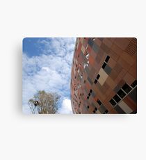 National Stadium Canvas Print