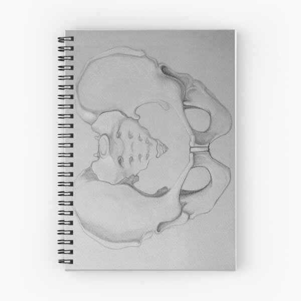 Item preview, Pelvis designed and sold by cutielamerr.