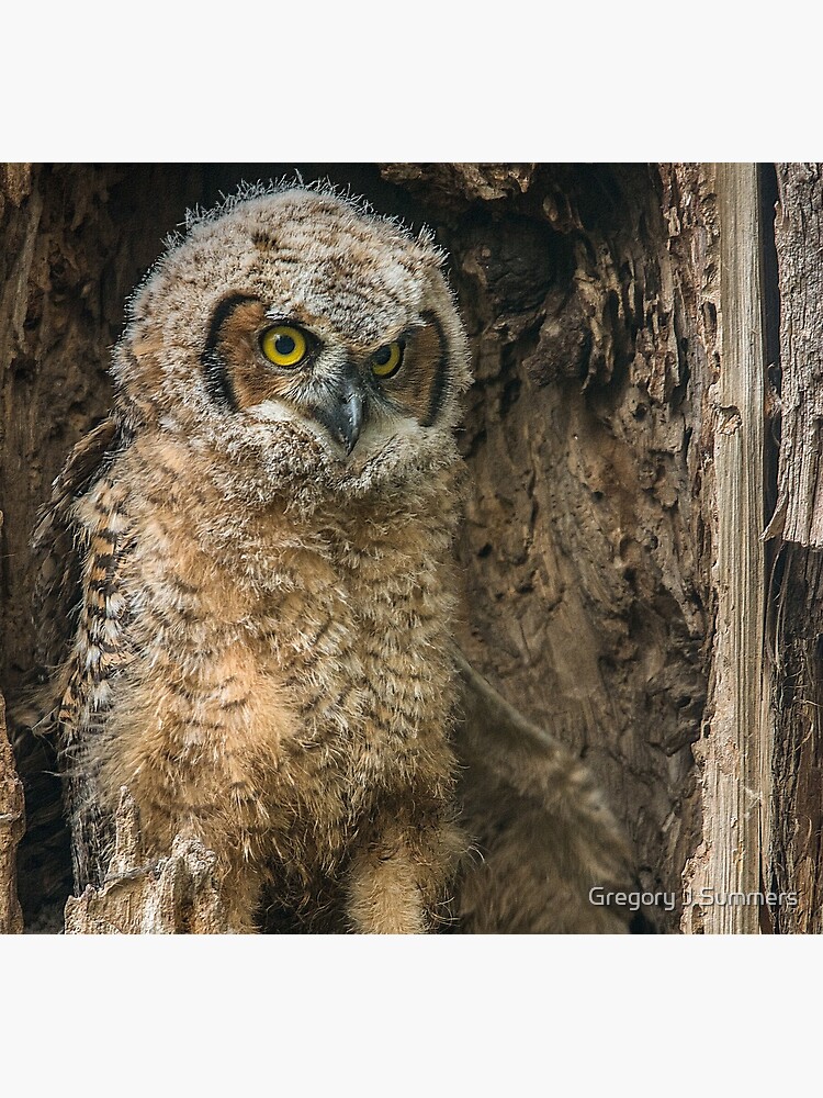 Stretching For Flight by nikongreg