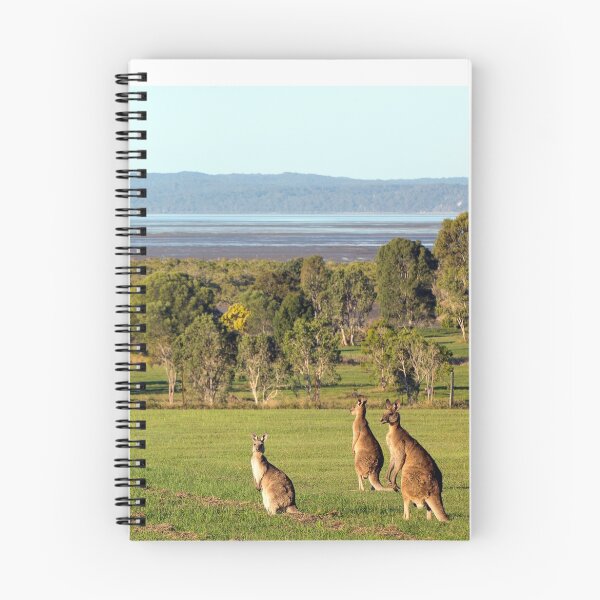 Item preview, The roos are in the top paddock! designed and sold by Peter Doré.