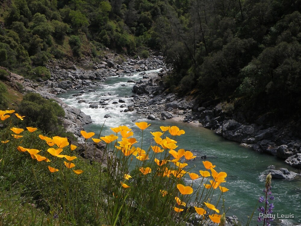 "Buttermilk Trail, Yuba River" by Patty Lewis Redbubble
