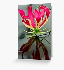 Gloriosa Lilly Greeting Card