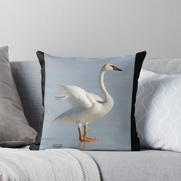 Item preview, Cisne trompetista juvenil designed and sold by TCW Studios.