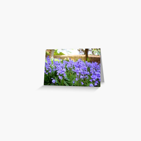 Item preview, Bluebells in the woods designed and sold by Matthew Mason.