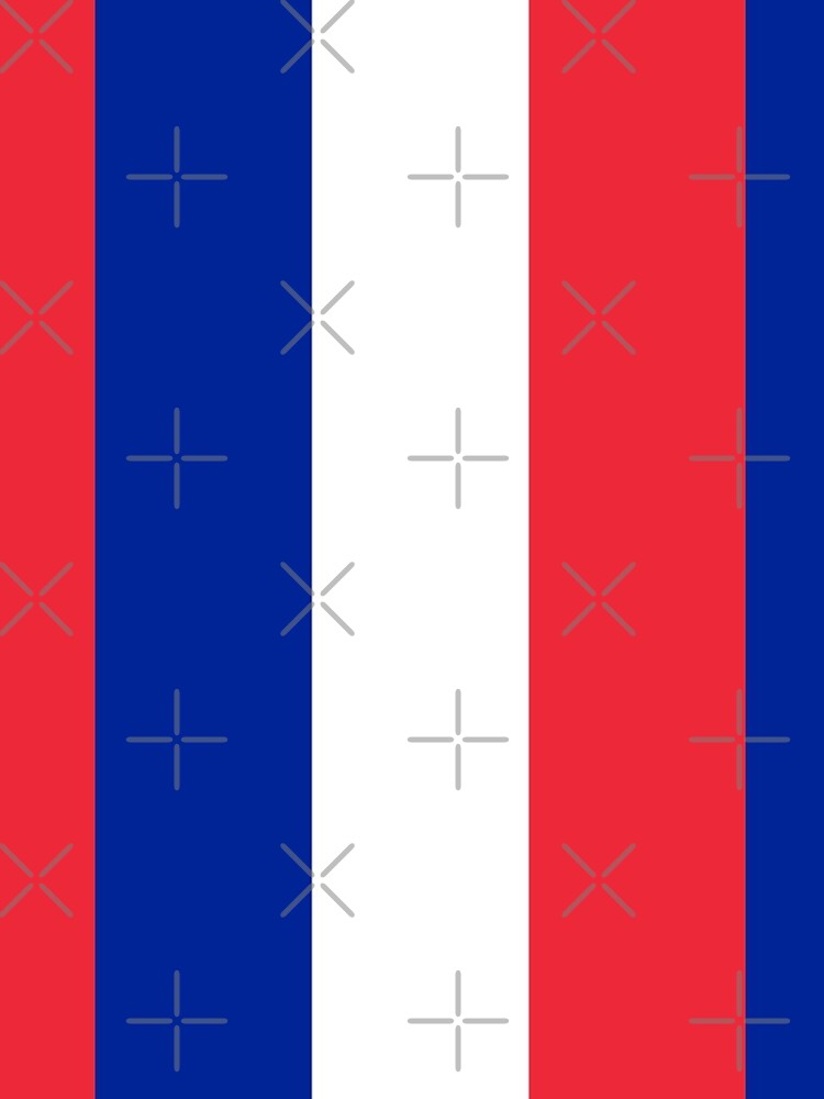 The Flag of France by Smaragdas