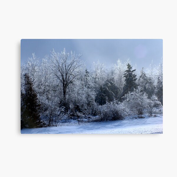Ice Storm Metal Print
