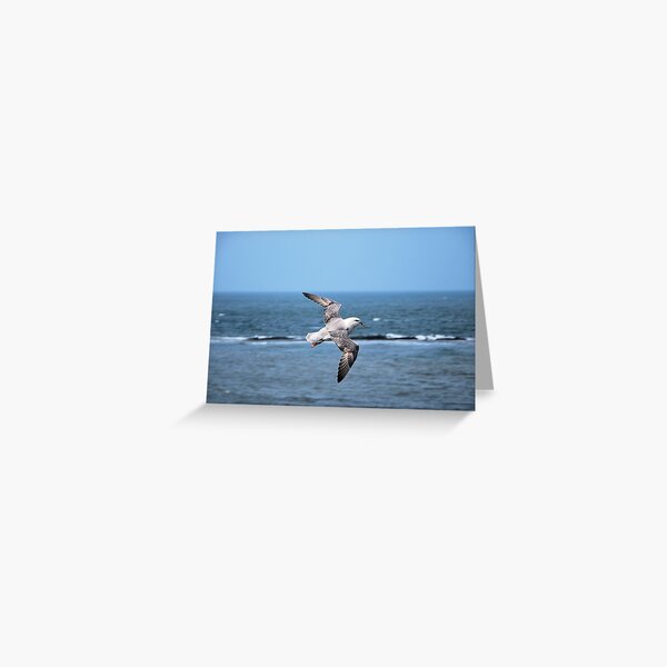 Item preview, Fulmar in Flight (Fulmarus glacialis) designed and sold by Lindamell.