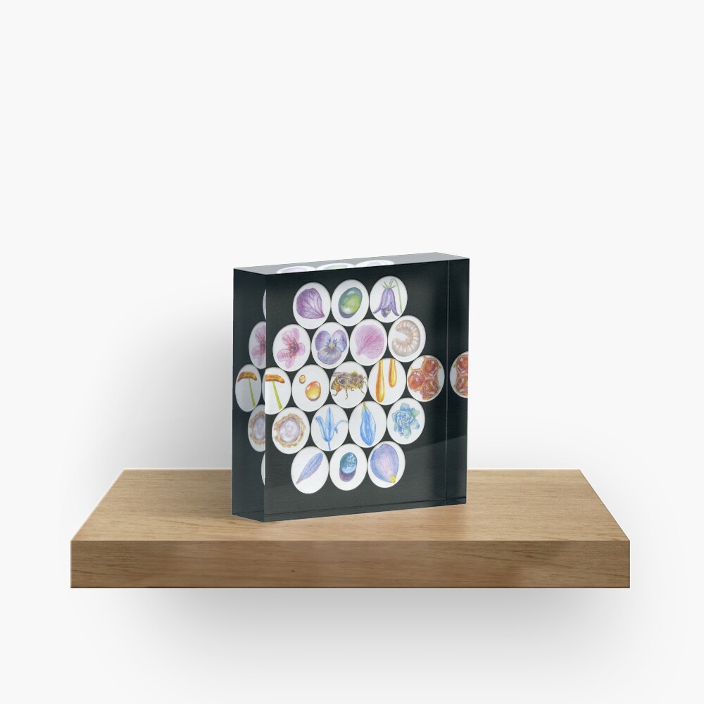 Beefriend Acrylic Block