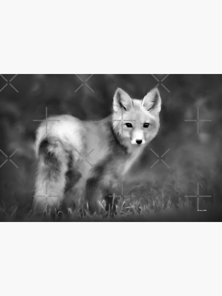 Tarjetas De Felicitacion Retrato De Zorro Blanco Y Negro De Rollosphotos Redbubble