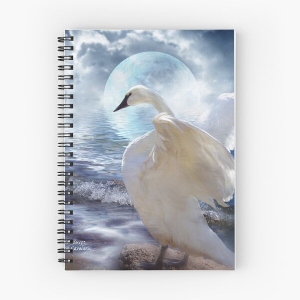 Item preview, Love Swept designed and sold by Carol  Cavalaris.