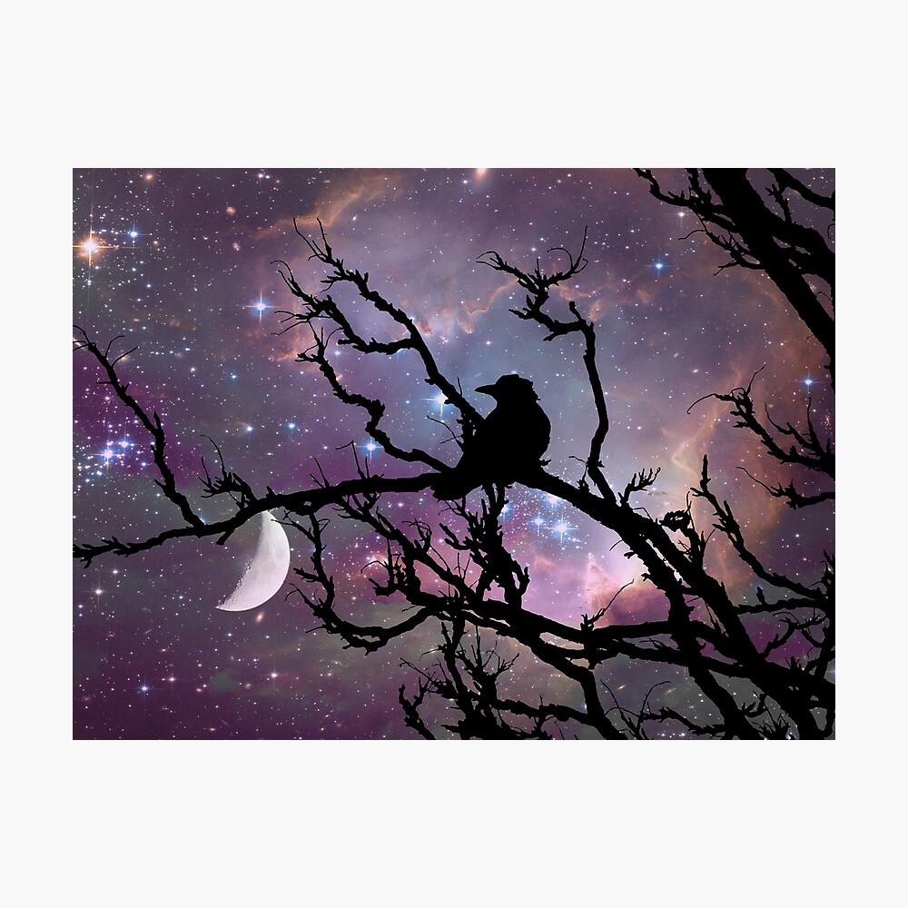 Surreal Black Bird Crow Stars Night Moon Bedroom Art Print Matted Picture A492BW 