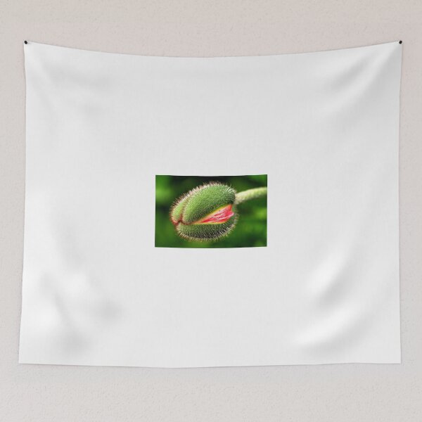 Item preview, Ready to "Pop" designed and sold by Larry Trupp.