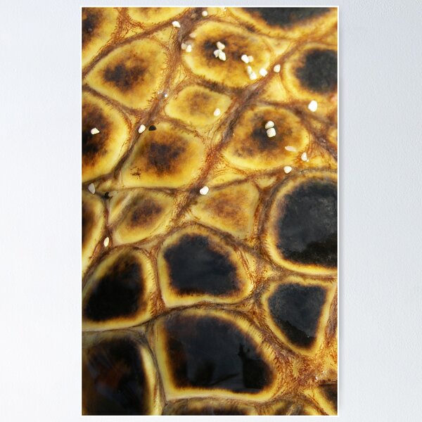 Artikelvorschau, Hawaiian sea turtle shell texture entworfen und verkauft von Michael Brewer.