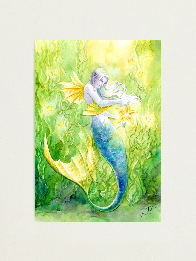 Thumbnail 1 of 3, Photographic Print, Sea Kelp & Starfish designed and sold by janetchui.