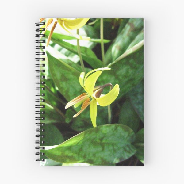 Item preview, Trout Lily/Adder's-Tongue designed and sold by artwhiz47.