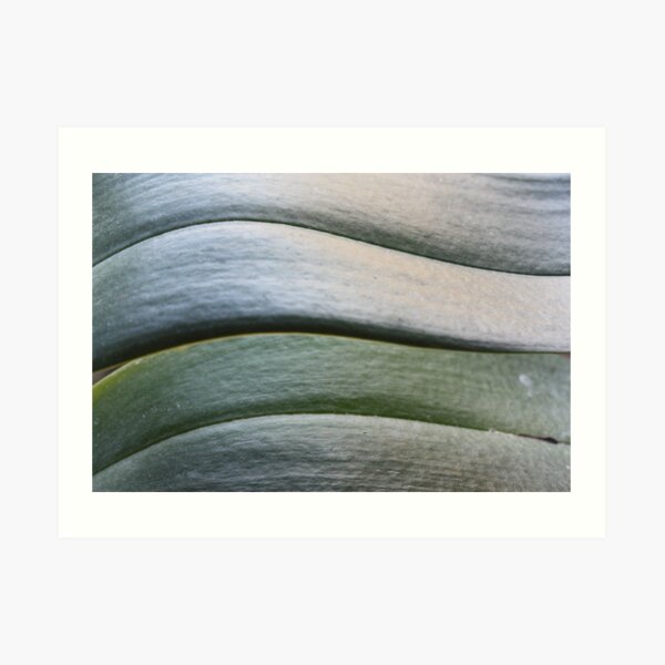 Snuggling two Art Print