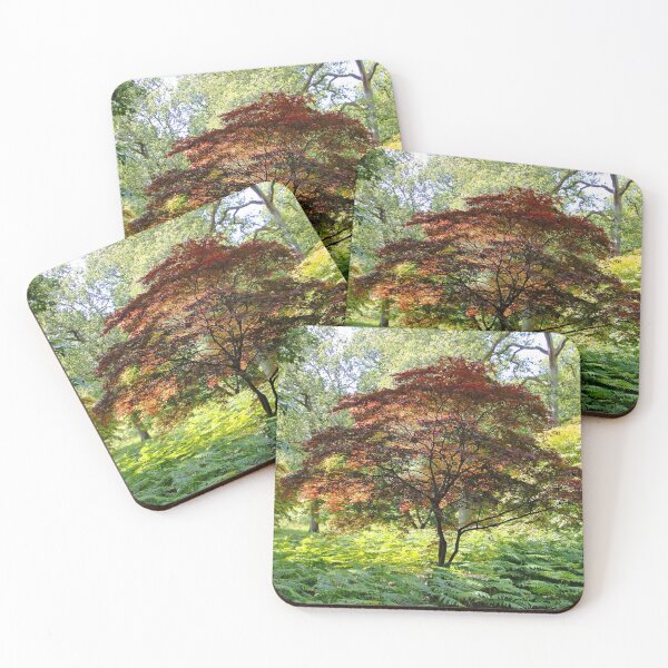 Item preview, Copper Beech Tree designed and sold by pinkal.