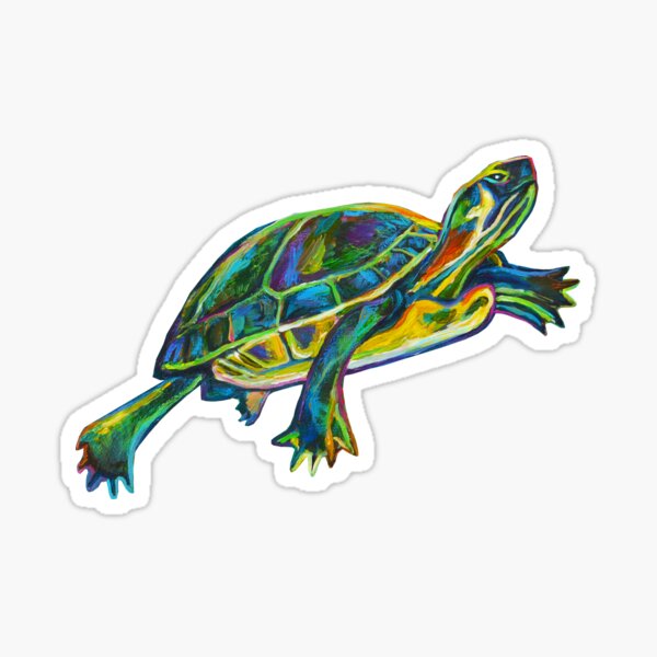 Item preview, Cenote Turtle by Robert Phelps designed and sold by RobertPhelpsArt.