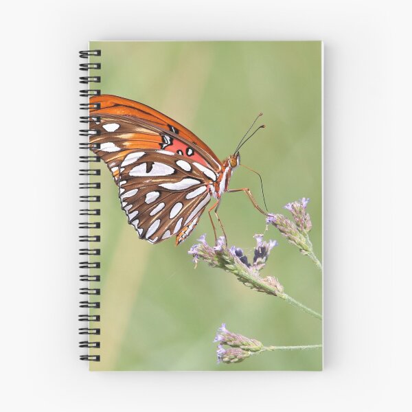 Item preview, Gulf Fritillary designed and sold by SuddenJim.
