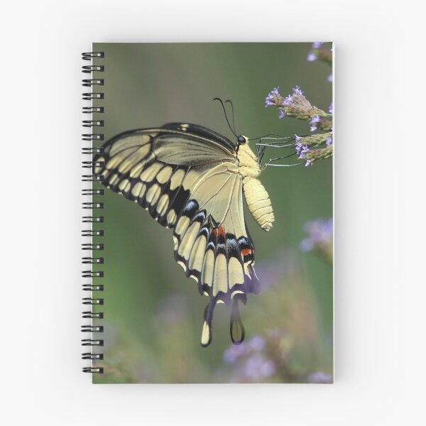 Item preview, Tiger Swallow Tail designed and sold by SuddenJim.