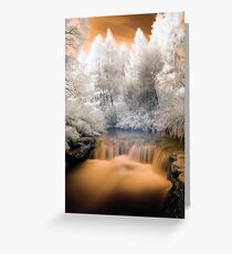Kero Creek IR 2 unaltered Greeting Card