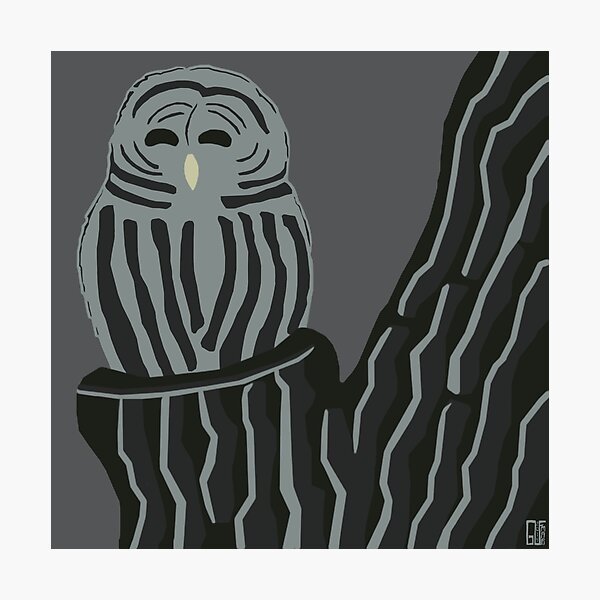 An Illustrated Life List: Barred Owl Photographic Print