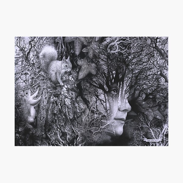 Looking Through - Pencil Art Photographic Print